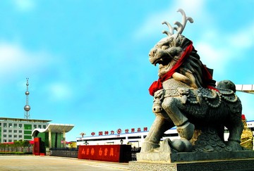 山东神力索具